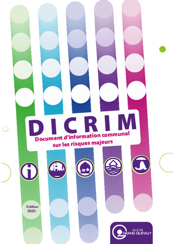 Dicrim 2025 couv