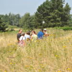 Une visite de la zone papillon
