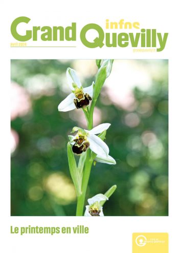 couverture du Grand Quevilly info. Gros plan sur une belle fleur.