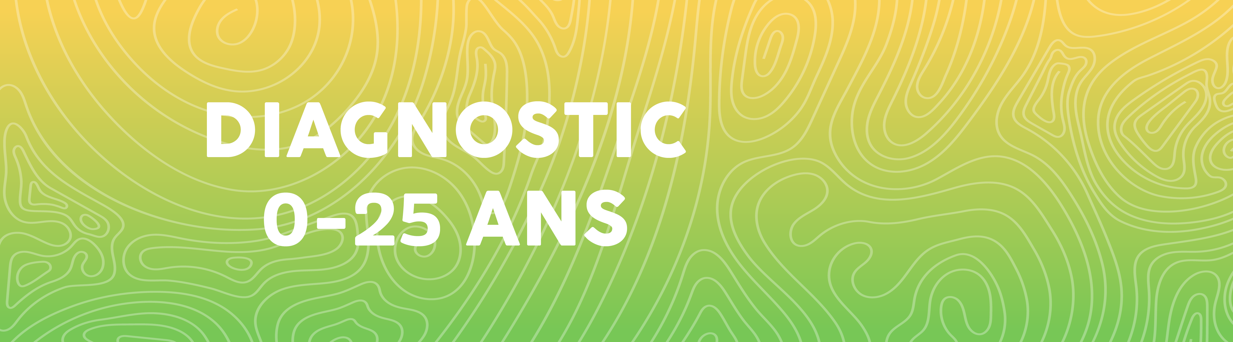 site diagnostic 0-25