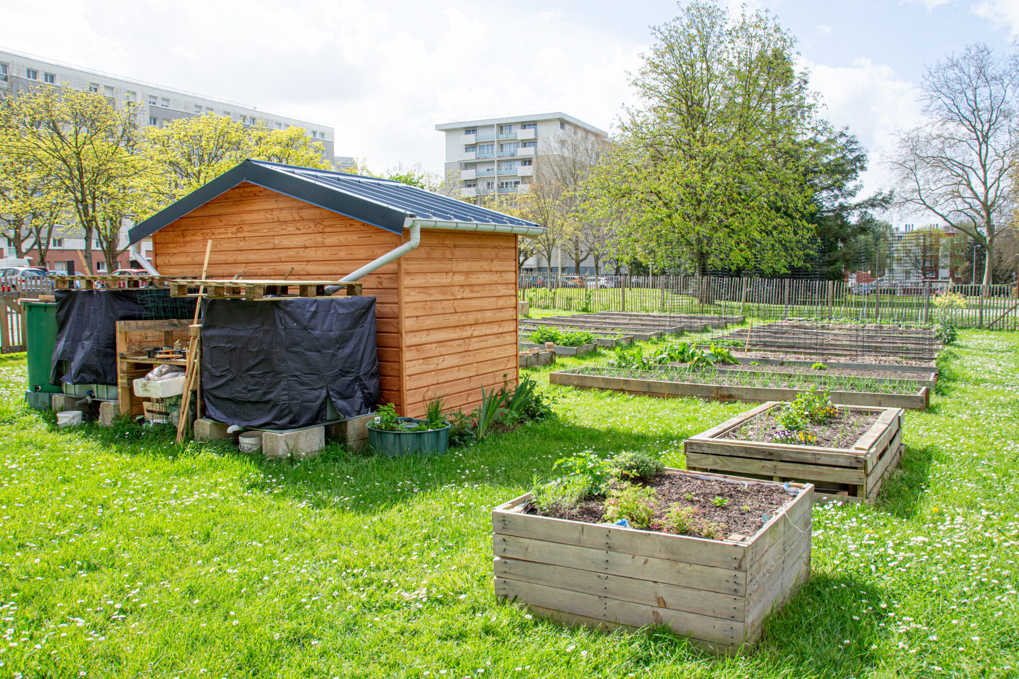 jardin partagé aldrin