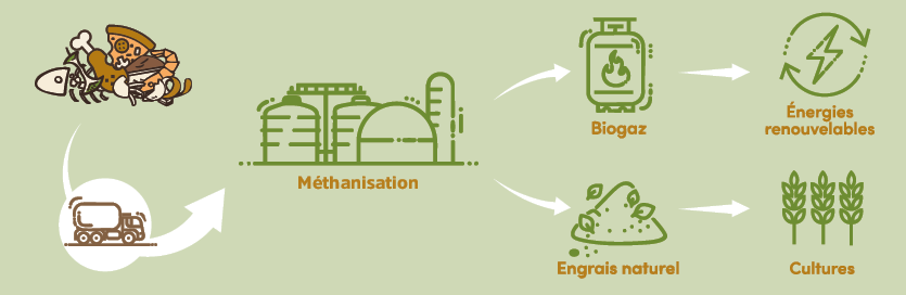 Schéma méthanisation des déchets alimentaires
