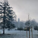 DE OLIVEIRA FERREIRA Jacinta (2)