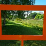 DELAFENETRE Mathhieu