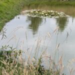 DUMANOIR Marie-France