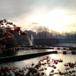 TESSON-MAVET Isabelle